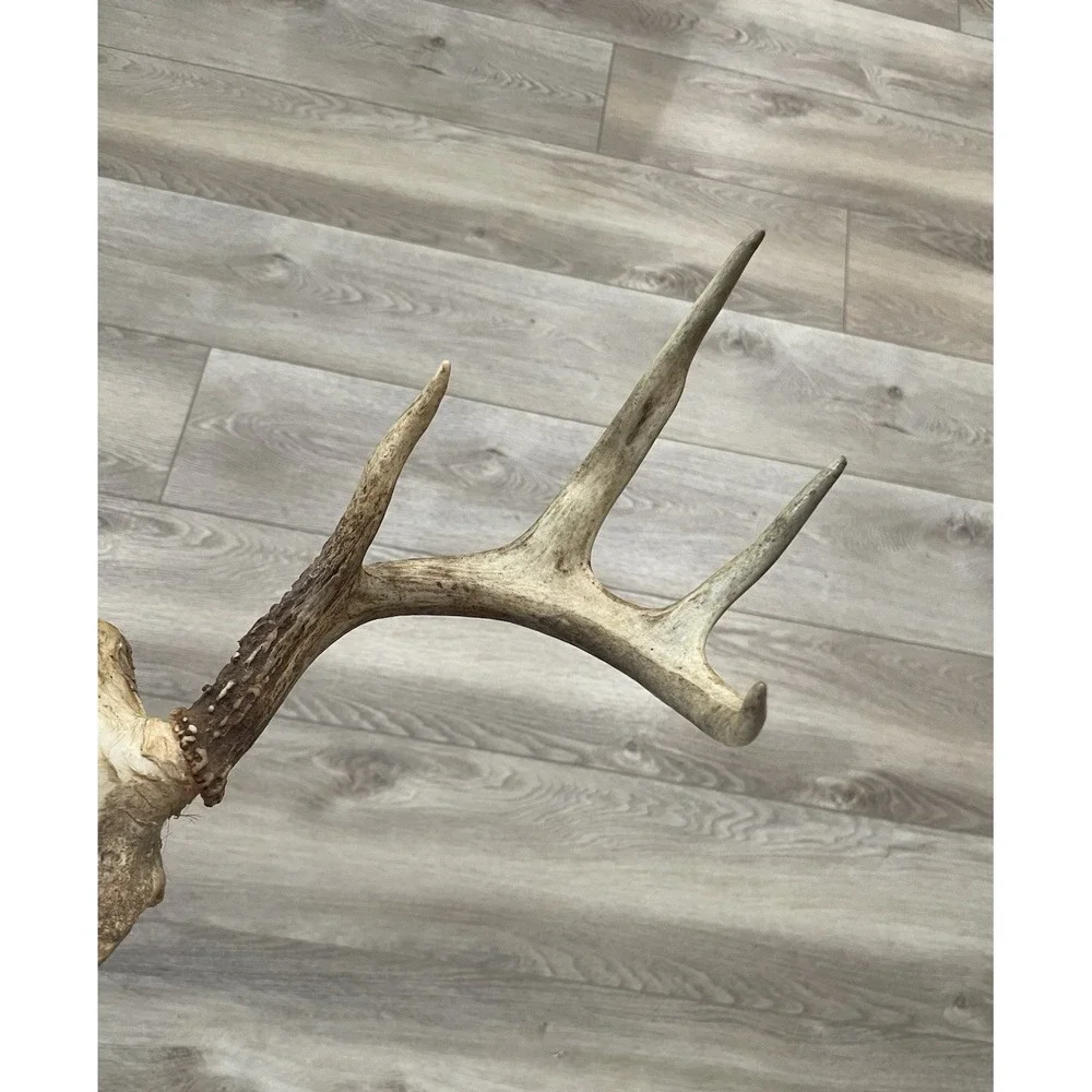 The Unbranded Brand vtg deer